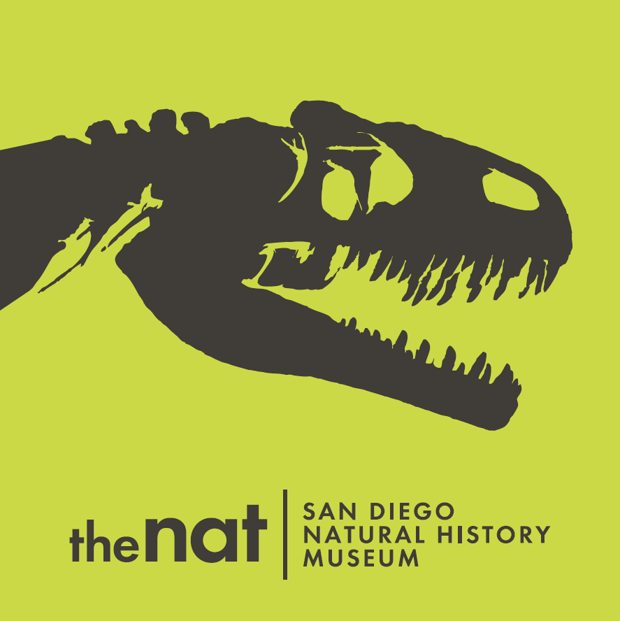 The NAT logo
